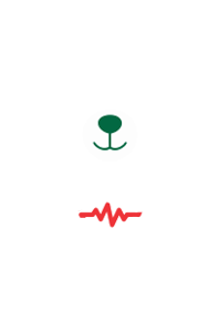 The NAZAR bear